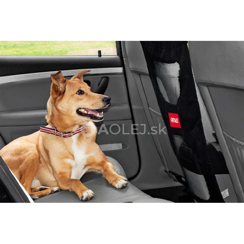 Bariéra pre psa do auta