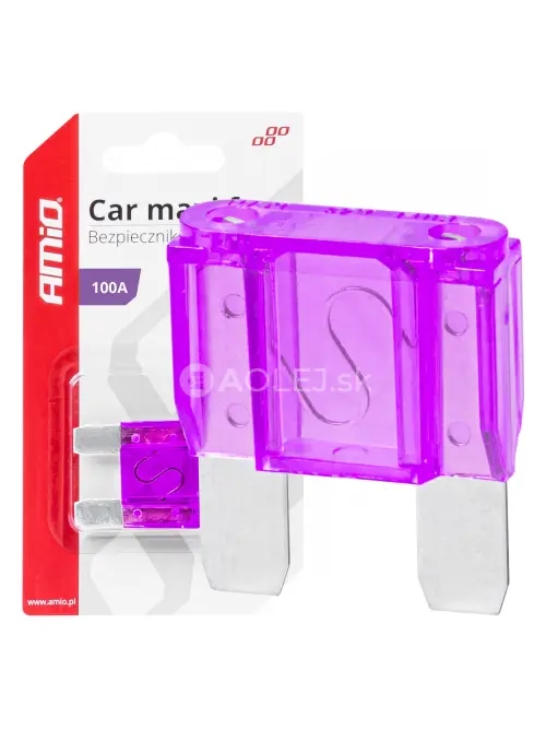 Autopoistka MAXI 100A AMIO-03387