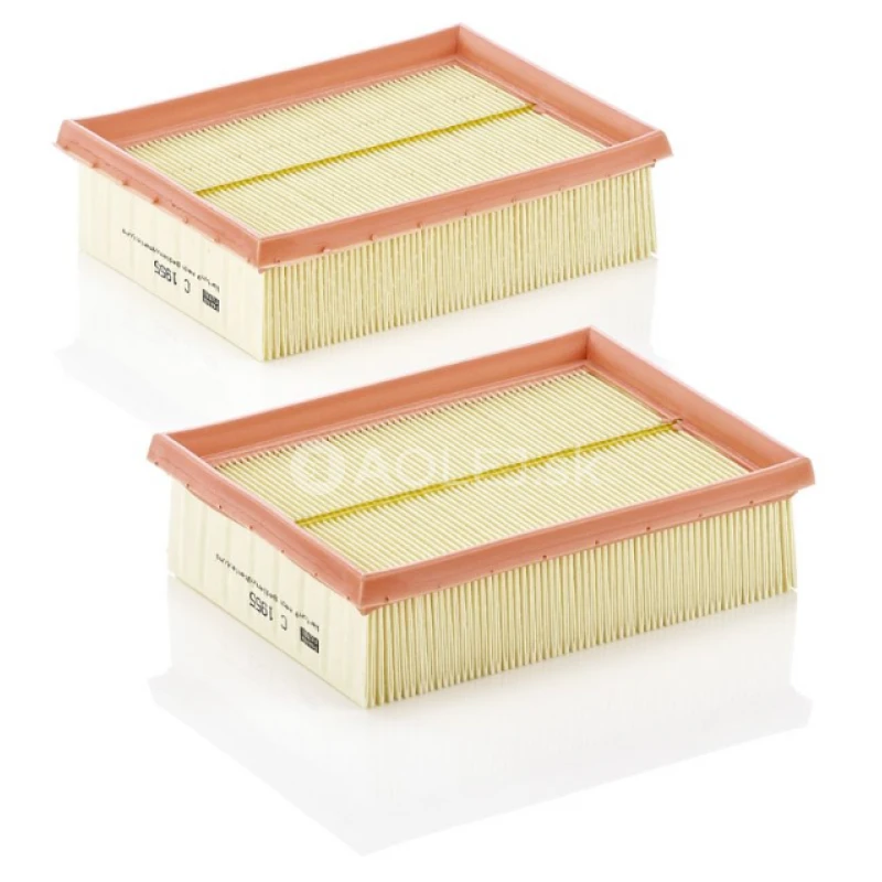 Vzduchov&yacute; filter MANN FILTER C 1955-2