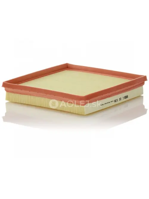Vzduchov&yacute; filter MANN FILTER C 22 038