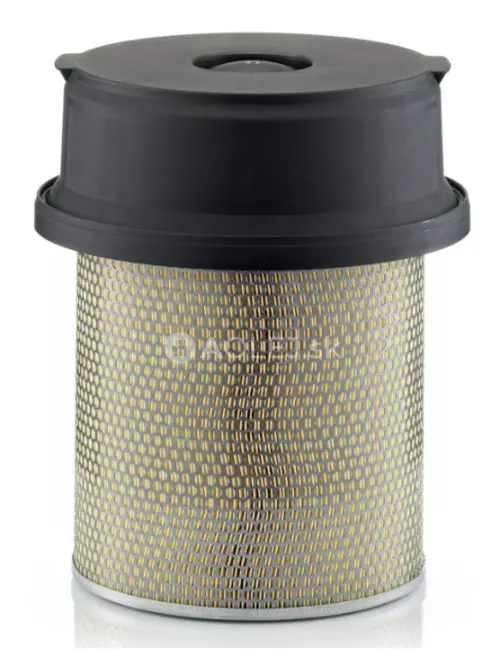 Vzduchov&yacute; filter MANN FILTER C 29 1219/1