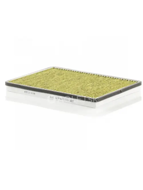 Kab&iacute;nov&yacute; filter MANN FILTER FP 3132