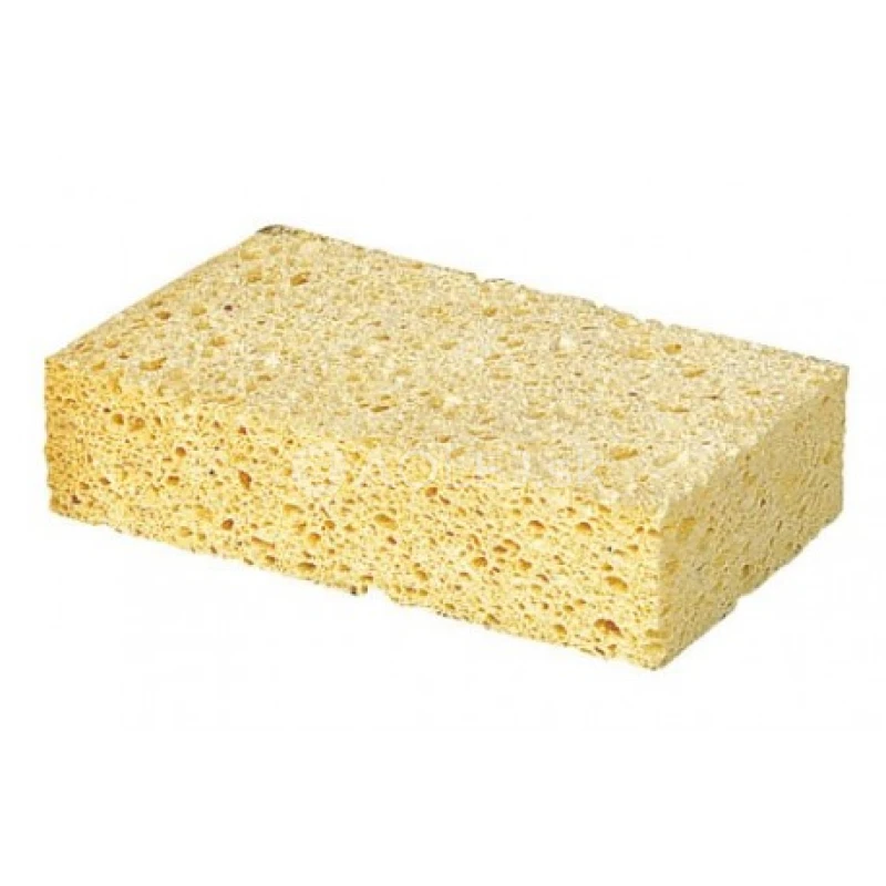 Visk&oacute;zna &scaron;pongia