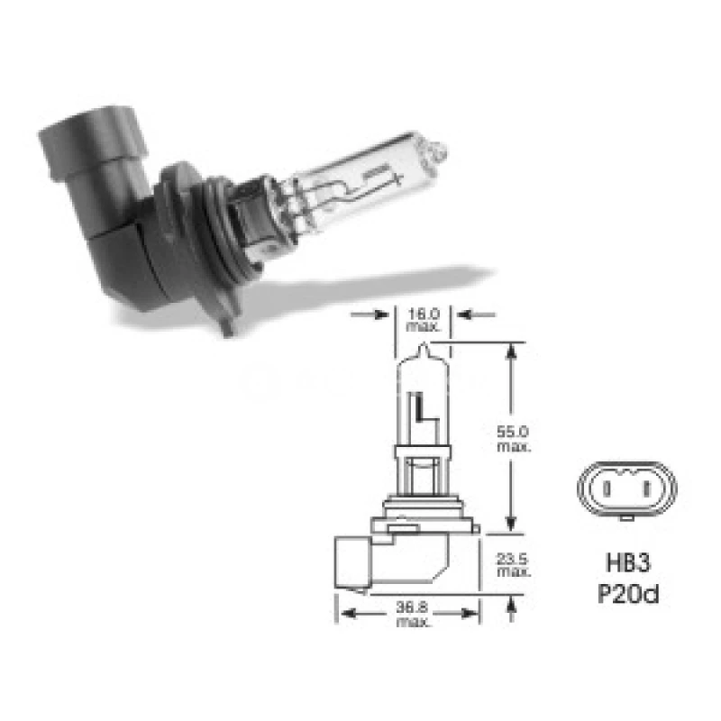 QLUX 12V 60W P20D HB3