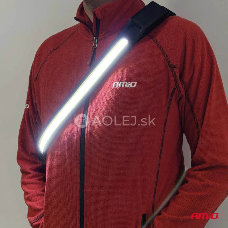 LED kontrolná lampa AMIO-04941