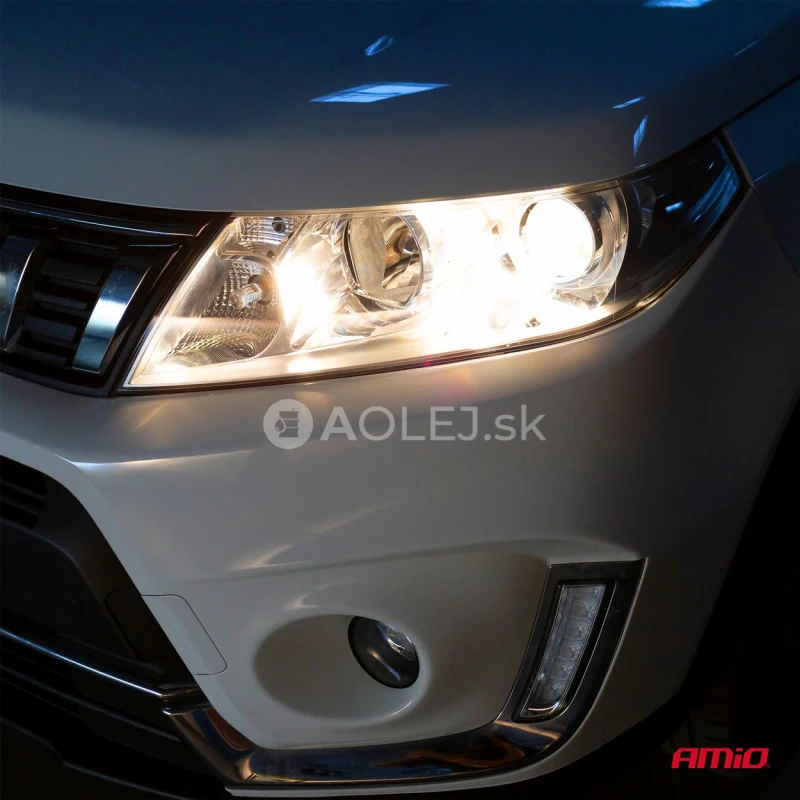 Halog&eacute;nov&aacute; žiarovka H15 12V/55W