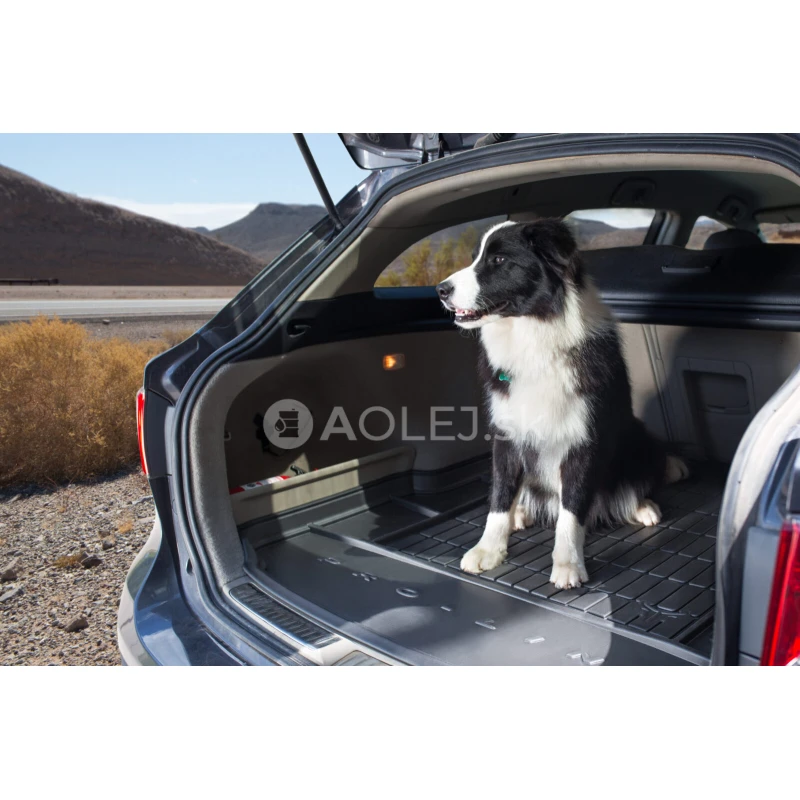 Vanička do kufra pre Mazda 3 IV Hatchback od 2019 Frogum ProLine TM414198