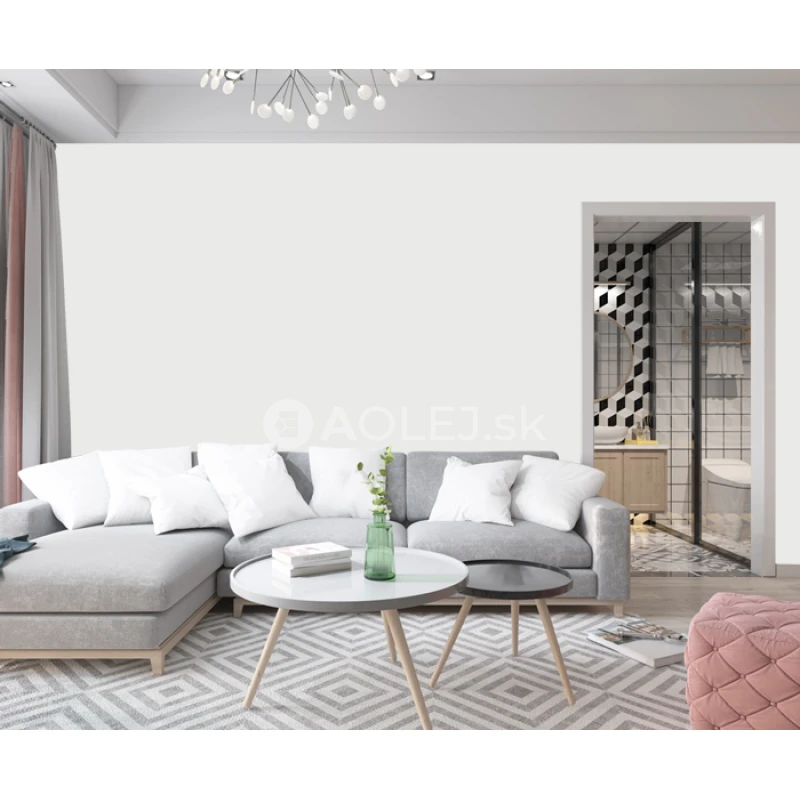 Signálna biela - RAL 9003 10L farba protipliesňové - vodouriediteľná