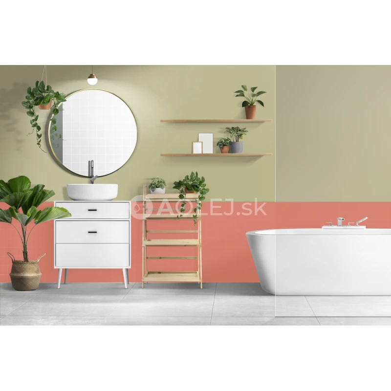 Lososovo ružová - RAL 3022 10L farba protipliesňové - vodouriediteľná