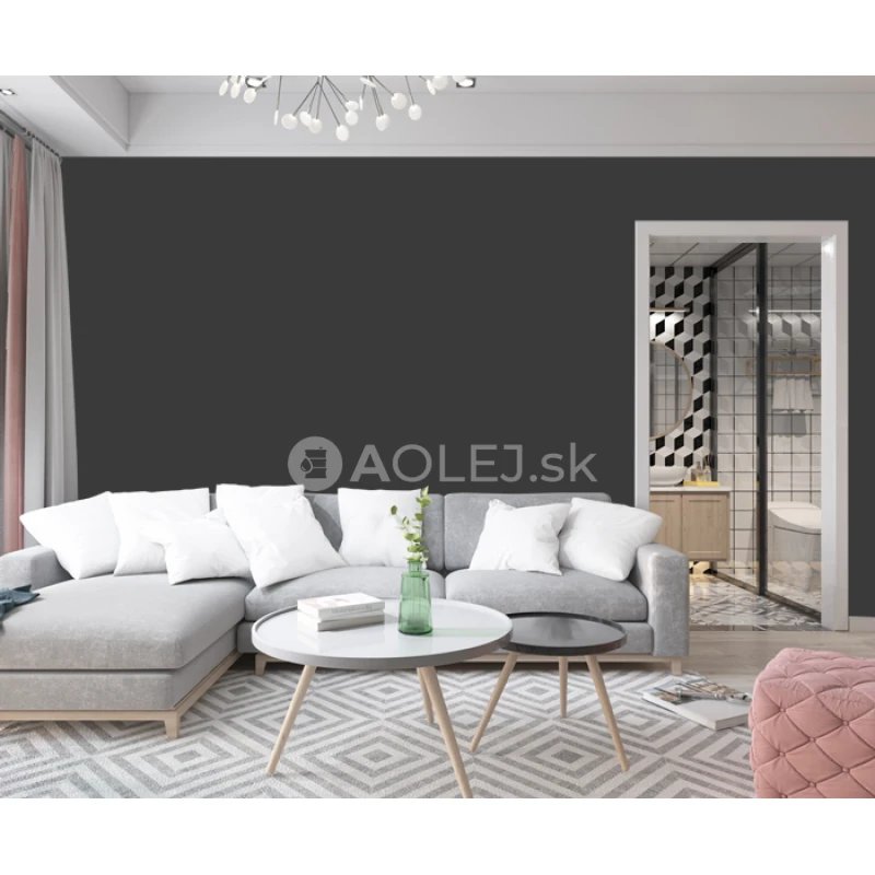 Čierna (jet) - RAL 9005 10L farba protipliesňové - vodouriediteľná