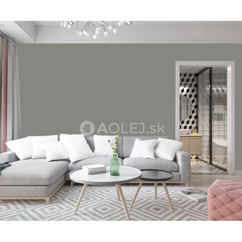 Betónová sivá - RAL 7023 10L farba protipliesňové - vodouriediteľná