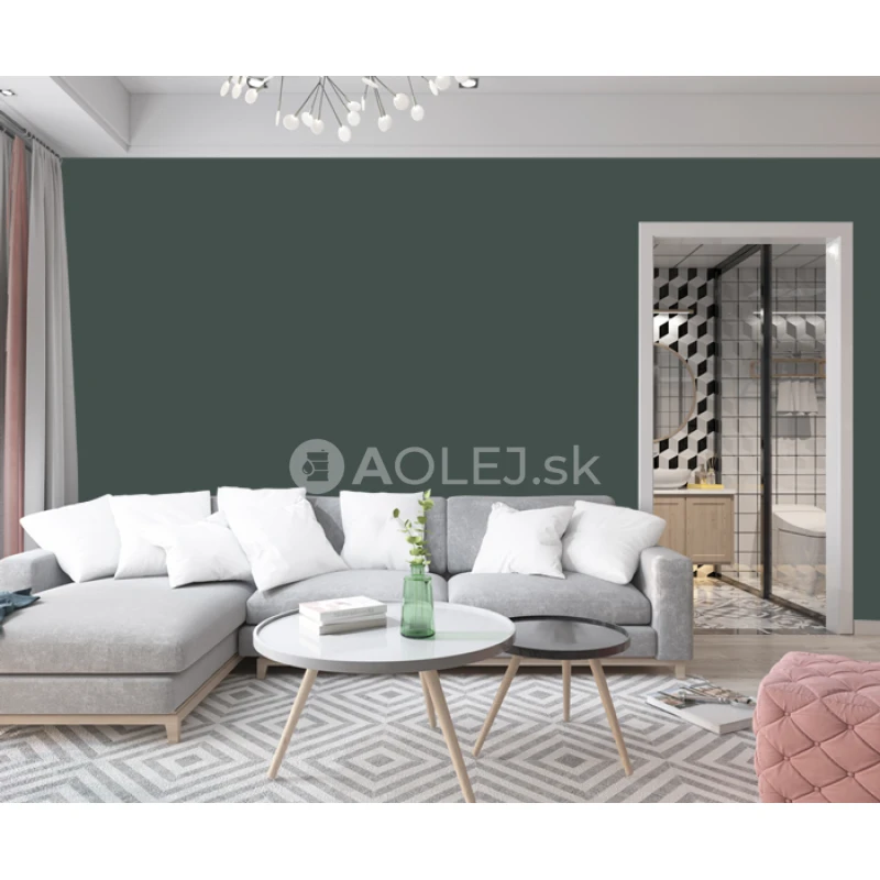 Čiernozelená - RAL 6012 10L farba protipliesňové - vodouriediteľná