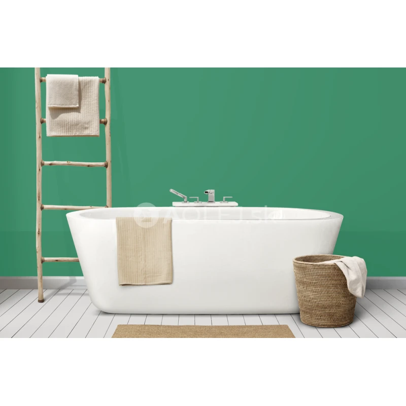 Dopravná zelená - RAL 6024 10L farba protipliesňové - vodouriediteľná