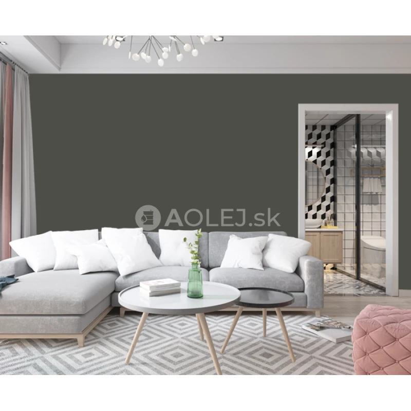 Sivoolivová - RAL 6006 3L farba protipliesňové - vodouriediteľná