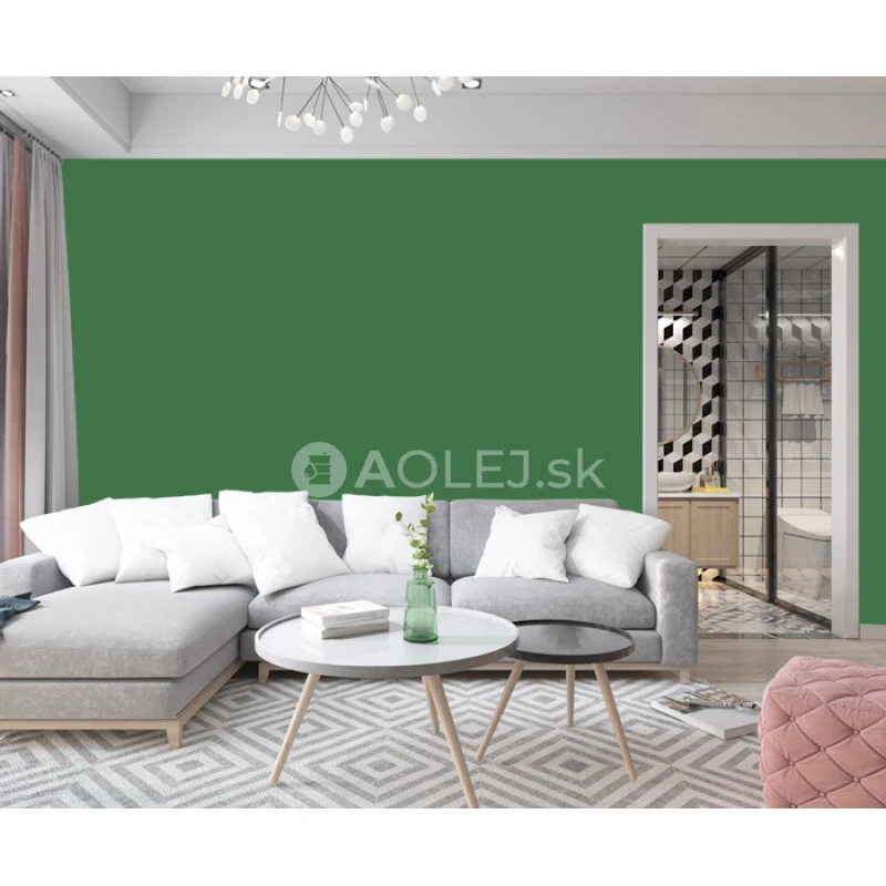 Smaragdovo zelená - RAL 6001 10L farba protipliesňové - vodouriediteľná