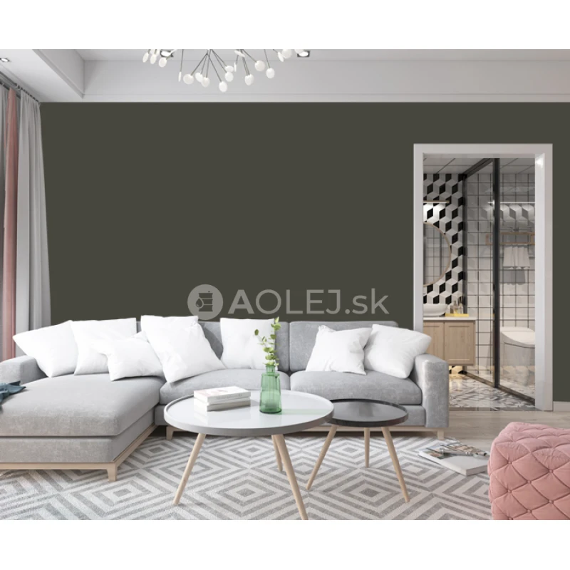 Hnedozelená - RAL 6008 10L farba protipliesňové - vodouriediteľná